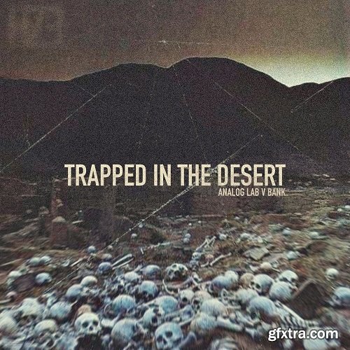 HZE Trapped in the Desert ANALOG LAB V BANK