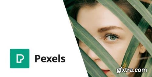 CodeCanyon - Pexels v1.0 - Import Free Stock Images into WordPress - 30602561