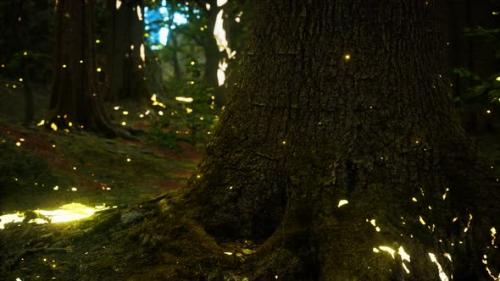 Videohive - Fantasy Firefly Lights in the Magical Forest - 33496052 - 33496052