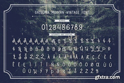 Galguna - Vintage Script Font