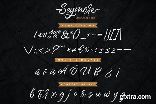 Seymore – Brush Script Font