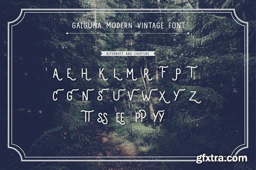 Galguna - Vintage Script Font