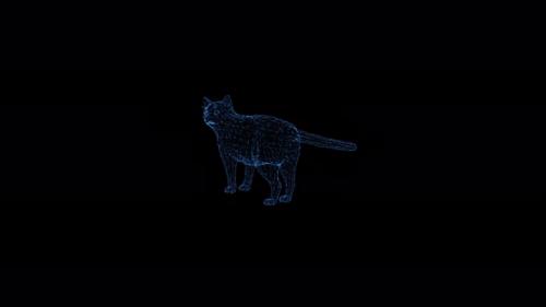 Videohive - Cat Hologram Hud - 33508646 - 33508646