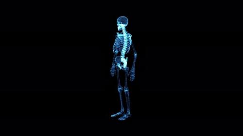 Videohive - Human Skeleton Hologram Hud - 33508658 - 33508658