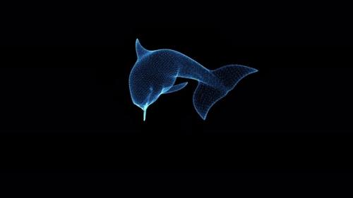 Videohive - Digital Dolphin Hologram Hud - 33508660 - 33508660