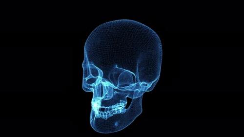 Videohive - Skull Skeleton Hologram Hud - 33508671 - 33508671