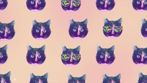 Videohive - Collage Animation of Cat Faces Fly in Minimal Motion Design - 33509665 - 33509665