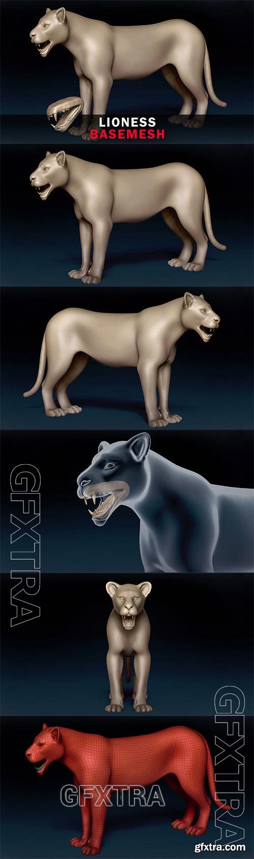 Lioness Basemesh 3D model 