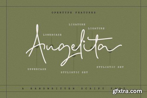 Linguista - Monoline Signature Font