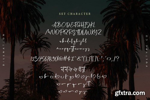 Dillnation - Elegant Signature Font