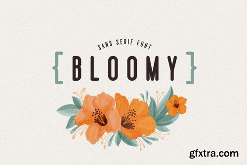 Bloomy Sans Serif Font