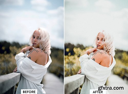 CreativeMarket - 10 NATURAL Lightroom Preset 5383592