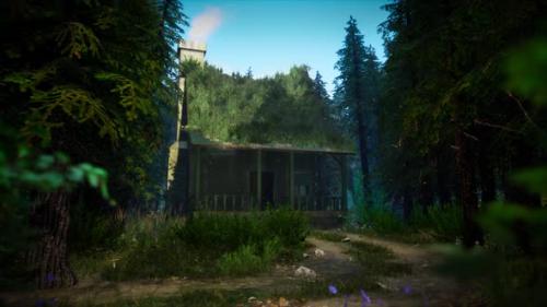 Videohive - Cabin In a Dark Forest looped HD - 33528104 - 33528104