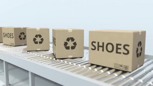 Videohive - Cartons with Shoes on Roller Conveyor - 33528674 - 33528674