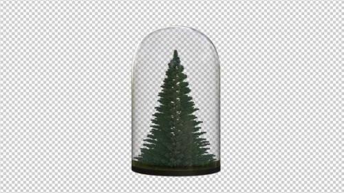 Videohive - Growing Pine Tree In The Glass Lantern - 33602710 - 33602710