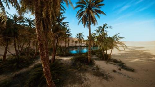 Videohive - Oasis with Palm Trees in Desert - 33604522 - 33604522