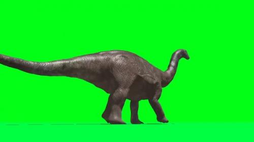 Videohive - Apatosaurus Dinosaur Walking 4 - 33609370 - 33609370