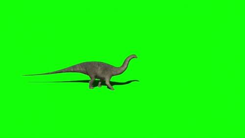 Videohive - Apatosaurus Dinosaur Walking 2 - 33609387 - 33609387