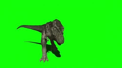 Videohive - Tyrannosaurus Rex Attacking - 33609391 - 33609391