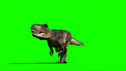 Videohive - Giganotosaurus Dinosaur Walking 90 - 33609404 - 33609404