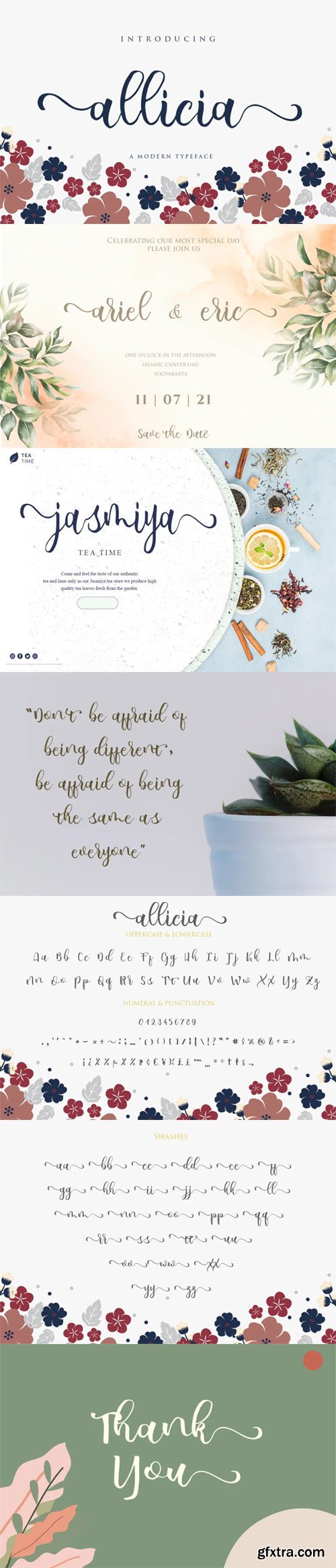 allicia Script - Stylish Feminine Typeface