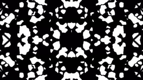 Videohive - Abstract white black geometric seamless pattern background - 33618494 - 33618494