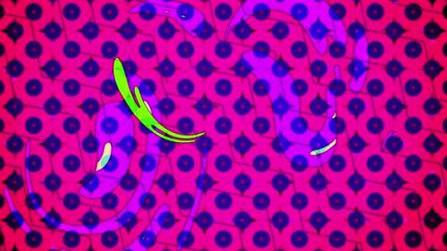 Videohive - Abstract Psychedelic Liquid and Pattern Background Loop - 33619990 - 33619990