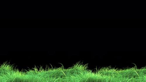 Videohive - Waving Grass in The Strong Wind Loop 4K - 33620687 - 33620687