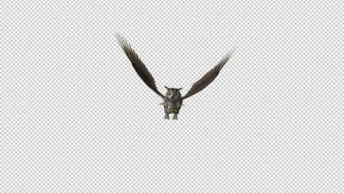 Videohive - Owl - Horned - Flying Loop - Front View - 33622103 - 33622103