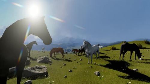 Videohive - Paradise of Horses - 33622554 - 33622554