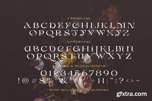 Desira - Attractive Serif