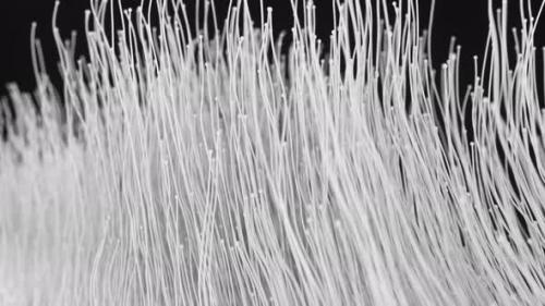 Videohive - Clean White Particles Lines - 33607568 - 33607568