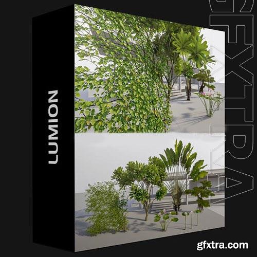 LUMION TREES 3D MODELS COLLECTION