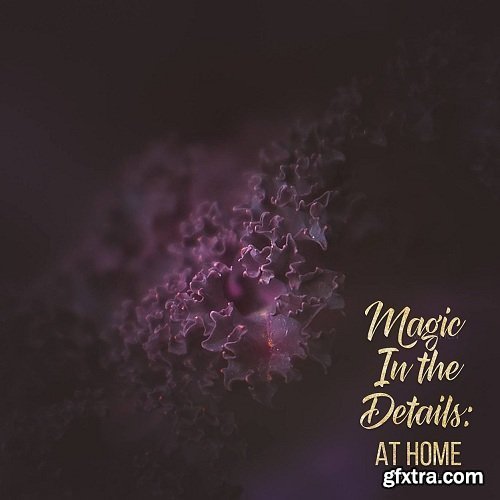 Meg Bitton Live — Magic in the Details