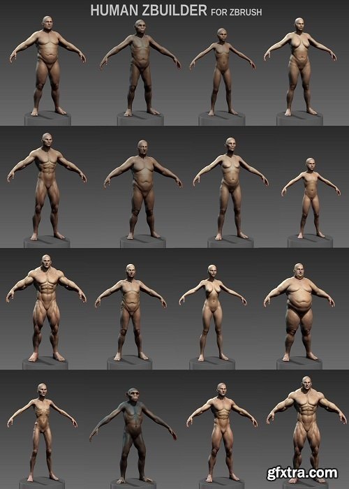 Human Zbuilder v3 for Zbrush