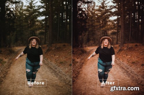 Chaitra Desktop and Mobile Lightroom Preset