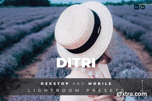 Ditri Desktop and Mobile Lightroom Preset