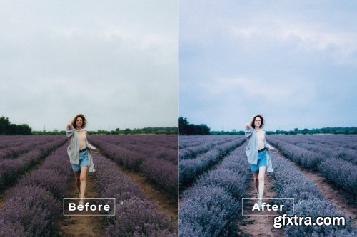 Ditri Desktop and Mobile Lightroom Preset