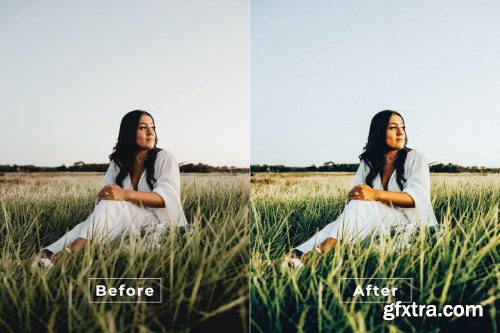 Drisana Desktop and Mobile Lightroom Preset