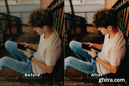 Enzi Desktop and Mobile Lightroom Preset