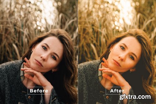 Engga Desktop and Mobile Lightroom Preset