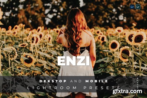 Enzi Desktop and Mobile Lightroom Preset