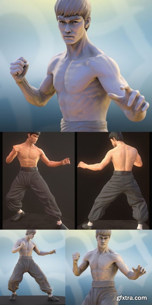 Bruce Lee Dragon Fighter