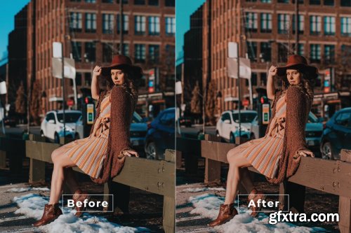 Paulin Desktop and Mobile Lightroom Preset