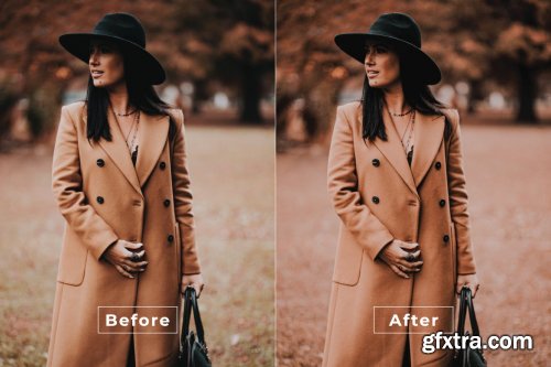 Paulin Desktop and Mobile Lightroom Preset