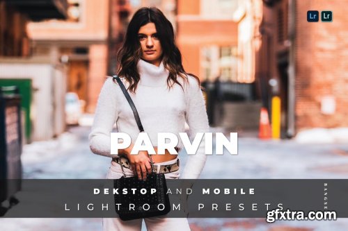 Parvin Desktop and Mobile Lightroom Preset