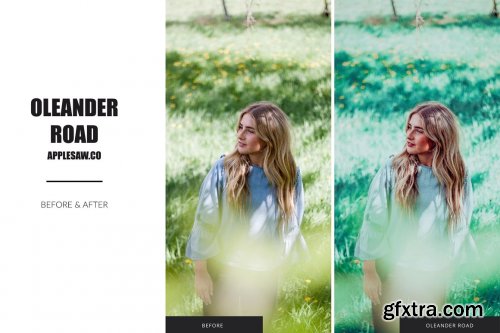 CreativeMarket - Oleander Road Lightroom Presets 5270591