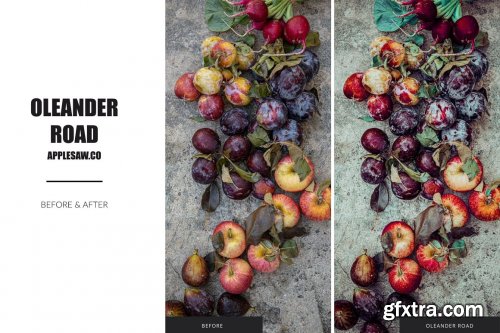 CreativeMarket - Oleander Road Lightroom Presets 5270591