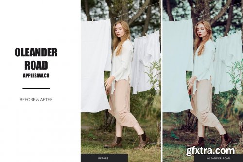 CreativeMarket - Oleander Road Lightroom Presets 5270591