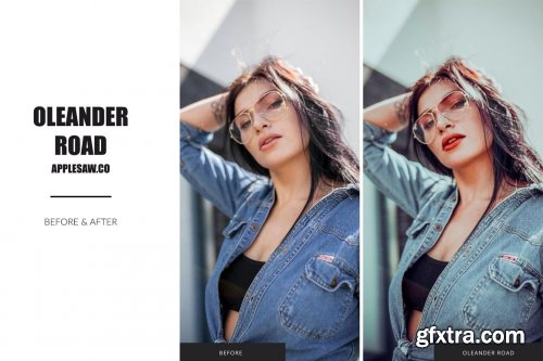 CreativeMarket - Oleander Road Lightroom Presets 5270591